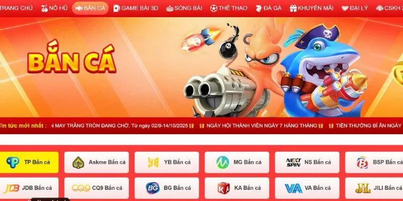 Giới thiệu DP568 tổng quan nhất