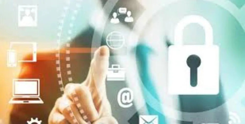  Thông tin DP568 thu thập và sử dụng